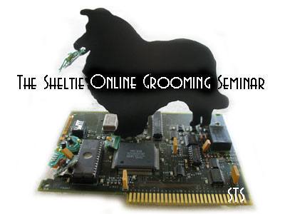 Online Grooming Seminar